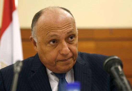 وزير خارجية مصر: نجدد المطالبة بوقف فوري وشامل لوقف النار في غزة