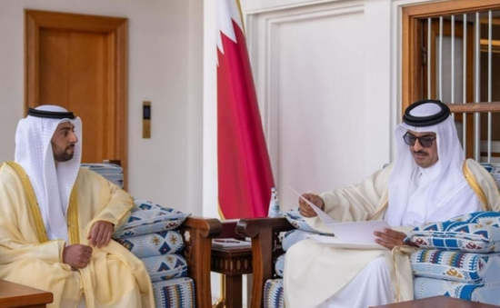 رئيس الإمارات يبعث رسالة خطية إلى أمير قطر