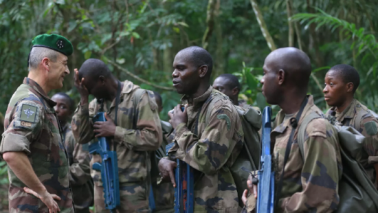 فرنسا تبدأ بخفض عدد أفراد قواتها في 3 دول أفريقية