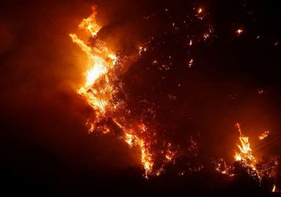 مقتل 51 على الأقل في حرائق غابات تشيلي