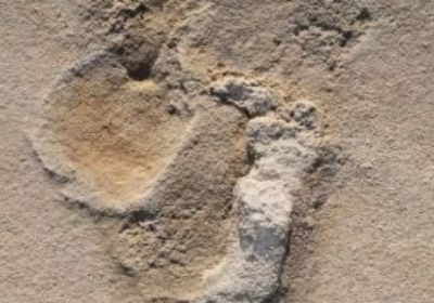 اكتشاف آثار أقدام بشرية في المغرب