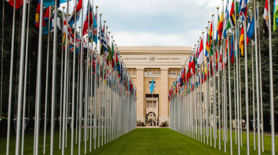 الأمم المتحدة: تدمير الاحتلال المنازل في غزة جريمة حرب