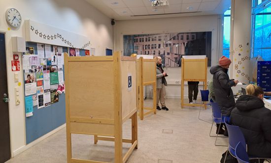 فنلندا.. بدء التصويت في جولة الإعادة بالانتخابات الرئاسية &nbsp;