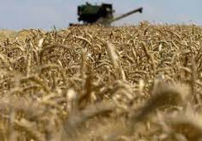 روسيا تشحن 200 ألف طن حبوب لـ 6 دول إفريقية