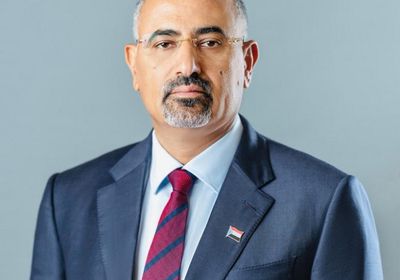 الرئيس الزُبيدي ينعي رحيل الكاتب فريد صحبي