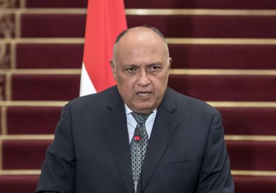 وزير خارجية مصر لـ"بلينكن":  الأولوية الآن لوقف إطلاق النار في غزة