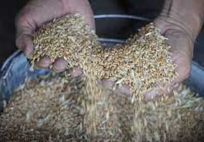 بروكسل تقترح فرض رسوم على واردات الحبوب الروسية