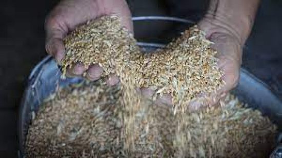 بروكسل تقترح فرض رسوم على واردات الحبوب الروسية