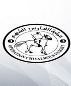 "طيور الخير".. الإمارات ومصر تنفذان الإسقاط الجوي الـ17 فوق شمال غزة