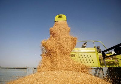الحكومة الهندية تطلب من التجار عدم شراء محصول القمح