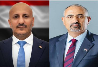 الرئيس الزُبيدي وطارق صالح يؤكدان دعمهما قرارات "المركزي"