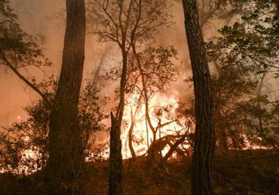 رفع مستوى التأهب في اليونان بعد اندلاع حرائق غابات