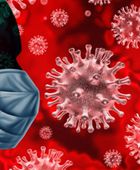 اكتشاف 13 فيروسًا جديدًا