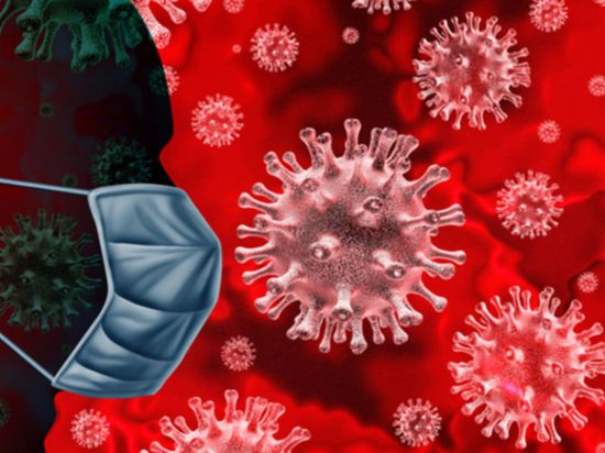 اكتشاف 13 فيروسًا جديدًا