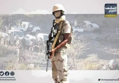 قوة دفاعية جنوبية تحمي الضالع من مخططات الشر الحوثية