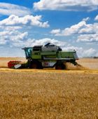 أوكرانيا: 10% نسبة الانخفاض المتوقع بحصاد الحبوب