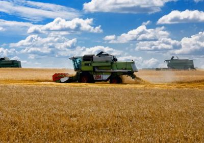 أوكرانيا: 10% نسبة الانخفاض المتوقع بحصاد الحبوب