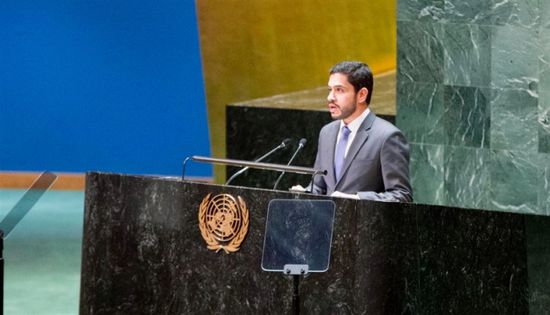 الإمارات: قلقون إزاء كثرة استخدام حق النقض في مجلس الأمن