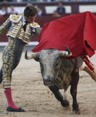 إسبانيا تلغي الجائزة السنوية لمصارعة الثيران