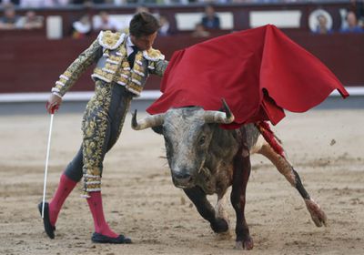 إسبانيا تلغي الجائزة السنوية لمصارعة الثيران