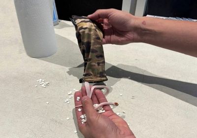 العثور على ثعابين مخبأة داخل سروال راكب بمطار ميامي