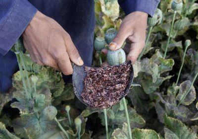 طالبان: استعادة النظام بعد احتجاجات