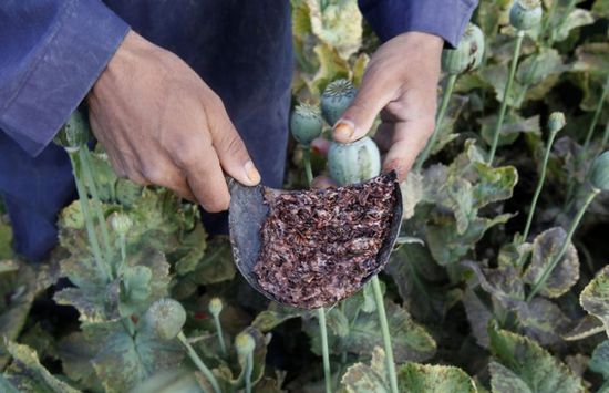 طالبان: استعادة النظام بعد احتجاجات