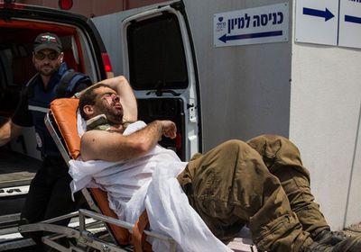 الجيش الإسرائيلي: إصابة 12 جنديا هاجمتهم الدبابير في غزة