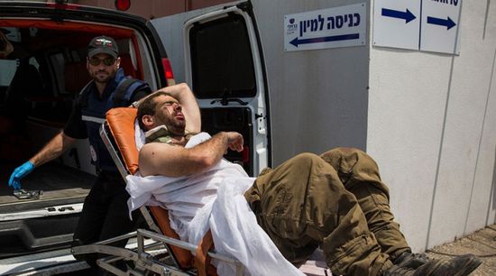 الجيش الإسرائيلي: إصابة 12 جنديا هاجمتهم الدبابير في غزة