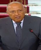 وزير مصري: اتفاقية السلام مع إسرائيل خيار استراتيجي