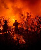 بسبب حرائق الغابات.. إصابة رجلي إطفاء وأوامر بإجلاء سكان في كاليفورنيا