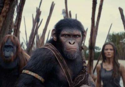 308 ملايين دولار إيرادات Kingdom of the Planet of the Apes  