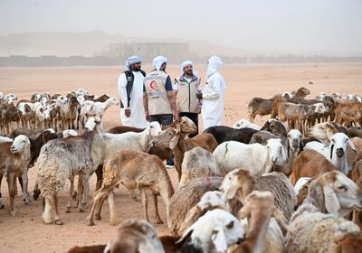 الهلال الأحمر الإماراتي ينفذ مشروع الأضاحي في تشاد