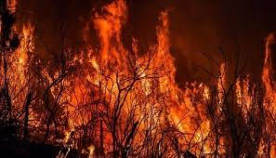 إجلاء آلاف الأهالي إثر حرائق غابات في ولاية نيو مكسيكو الأمريكية