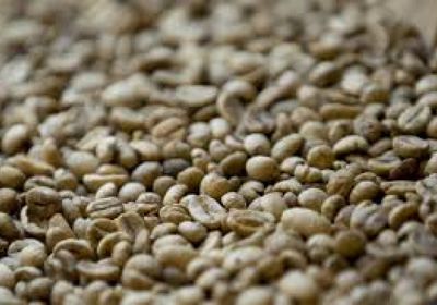 ارتفاع أسعار قهوة "روبوستا" وسط مخاوف انخفاض إنتاج فيتنام