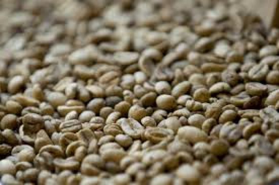 ارتفاع أسعار قهوة "روبوستا" وسط مخاوف انخفاض إنتاج فيتنام