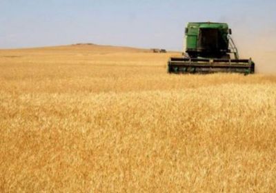 انخفاض محصول القمح في فرنسا 13٪ بسبب الأمطار