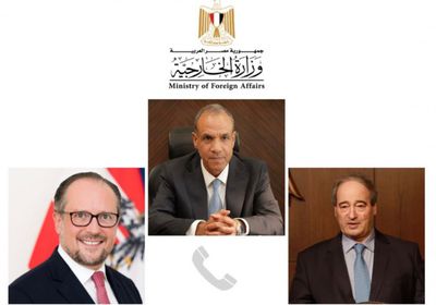 وزير الخارجية المصري يبحث مع نظيريه السورى والنمساوى تعزيز العلاقات المشتركة