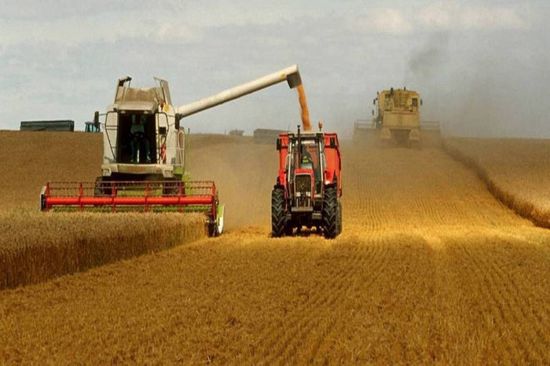 الأمطار الغزيرة تُهدد محصول القمح في فرنسا