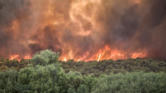 بعد السيطرة على حريق للغابات.. كندا تبدأ رفع أوامر الإجلاء شرق البلاد