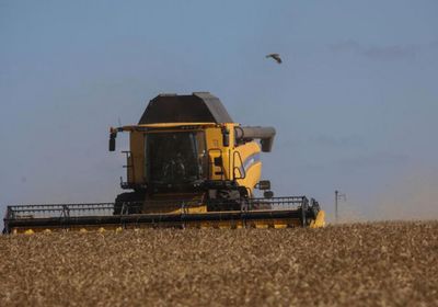 أوكرانيا: انخفاض متوقع بإنتاج الحبوب إلى 77 مليون طن
