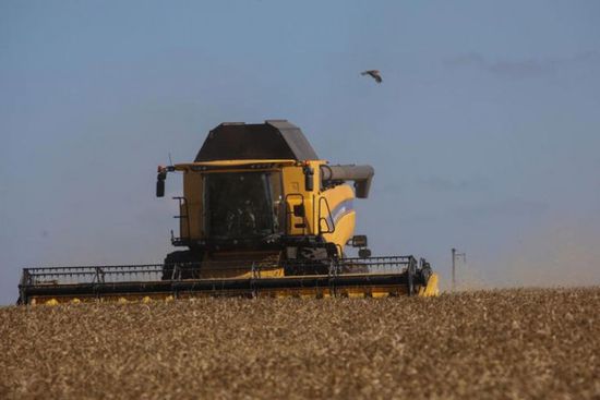 أوكرانيا: انخفاض متوقع بإنتاج الحبوب إلى 77 مليون طن