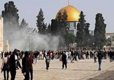 بحماية إسرائيلية.. مستوطنون يقتحمون المسجد الأقصى