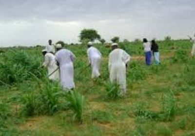 وزير الزراعة ينفي وقوع مجاعة في السودان