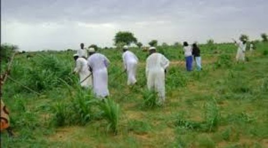 وزير الزراعة ينفي وقوع مجاعة في السودان