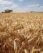 الاتحاد الأوروبي يسجل ارتفاعًا في الصادرات الزراعية