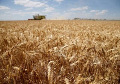 الاتحاد الأوروبي يسجل ارتفاعًا في الصادرات الزراعية