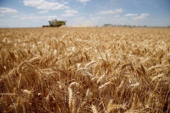 الاتحاد الأوروبي يسجل ارتفاعًا في الصادرات الزراعية