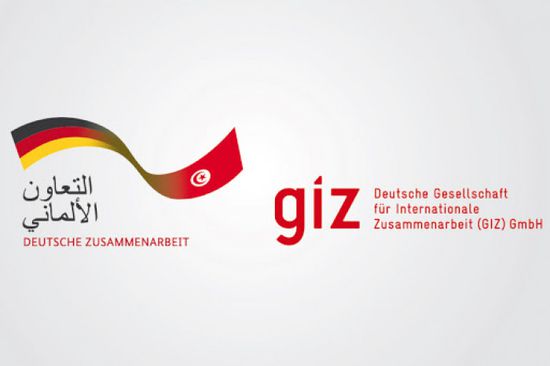 ألمانيا توقف أنشطة وكالة "GIZ" في مناطق الحوثي