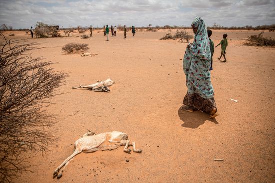 68 مليون شخص في جنوب القارة الأفريقية يعانون جفاف "النينيو"